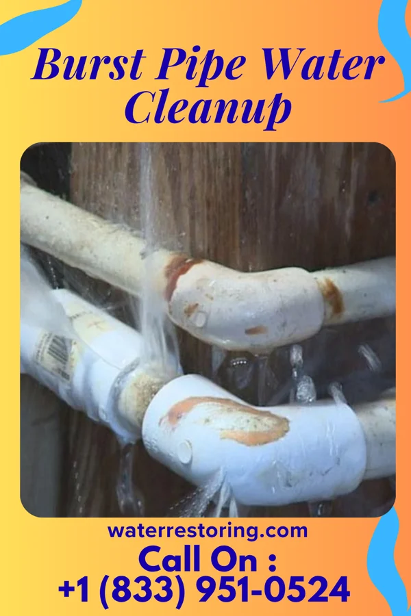 Burst Pipe Water Cleanup in Sutcliffe, NV