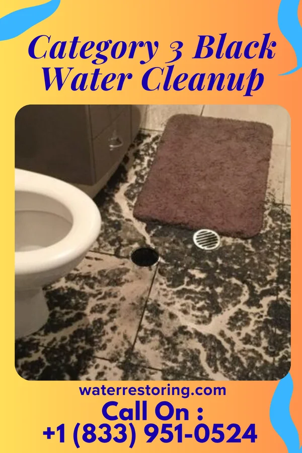 Category 3 Black Water Cleanup in Sutcliffe, NV