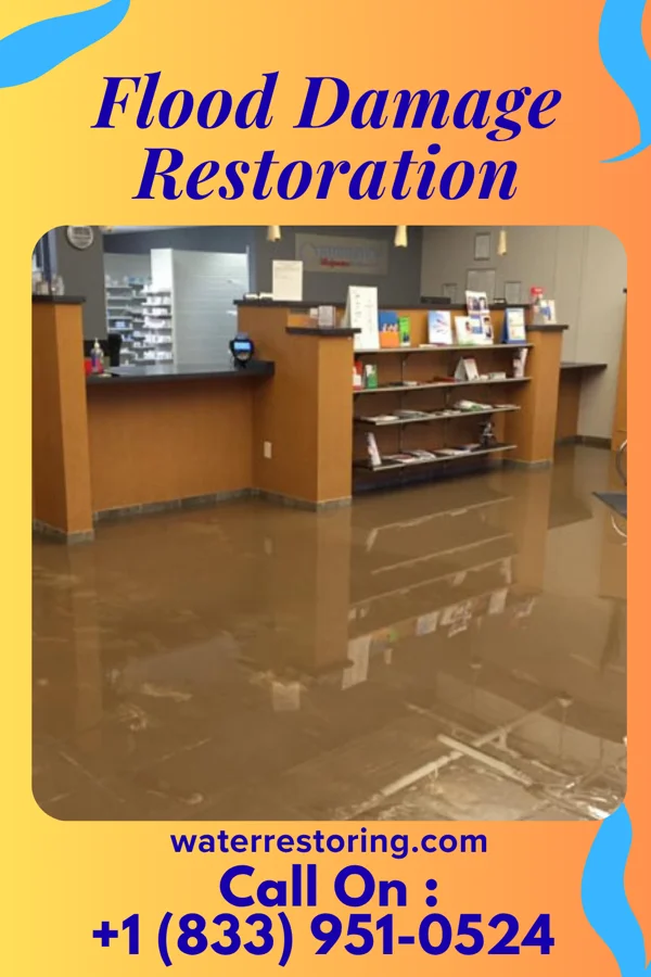 Flood Damage Restoration in Sutcliffe, NV